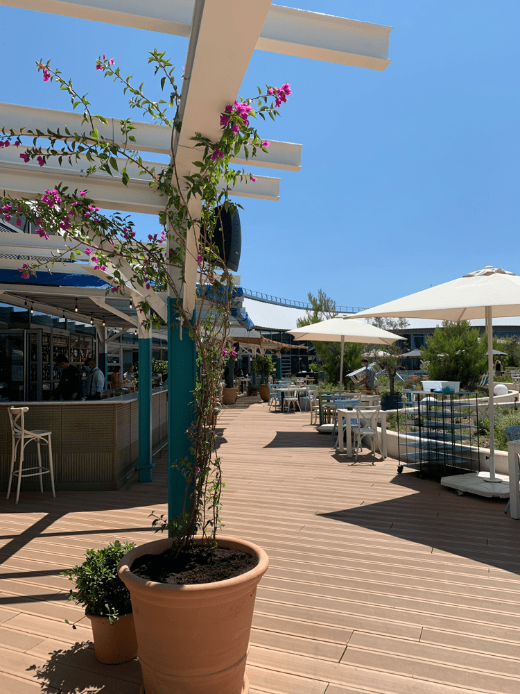 amenagements bois terrasses